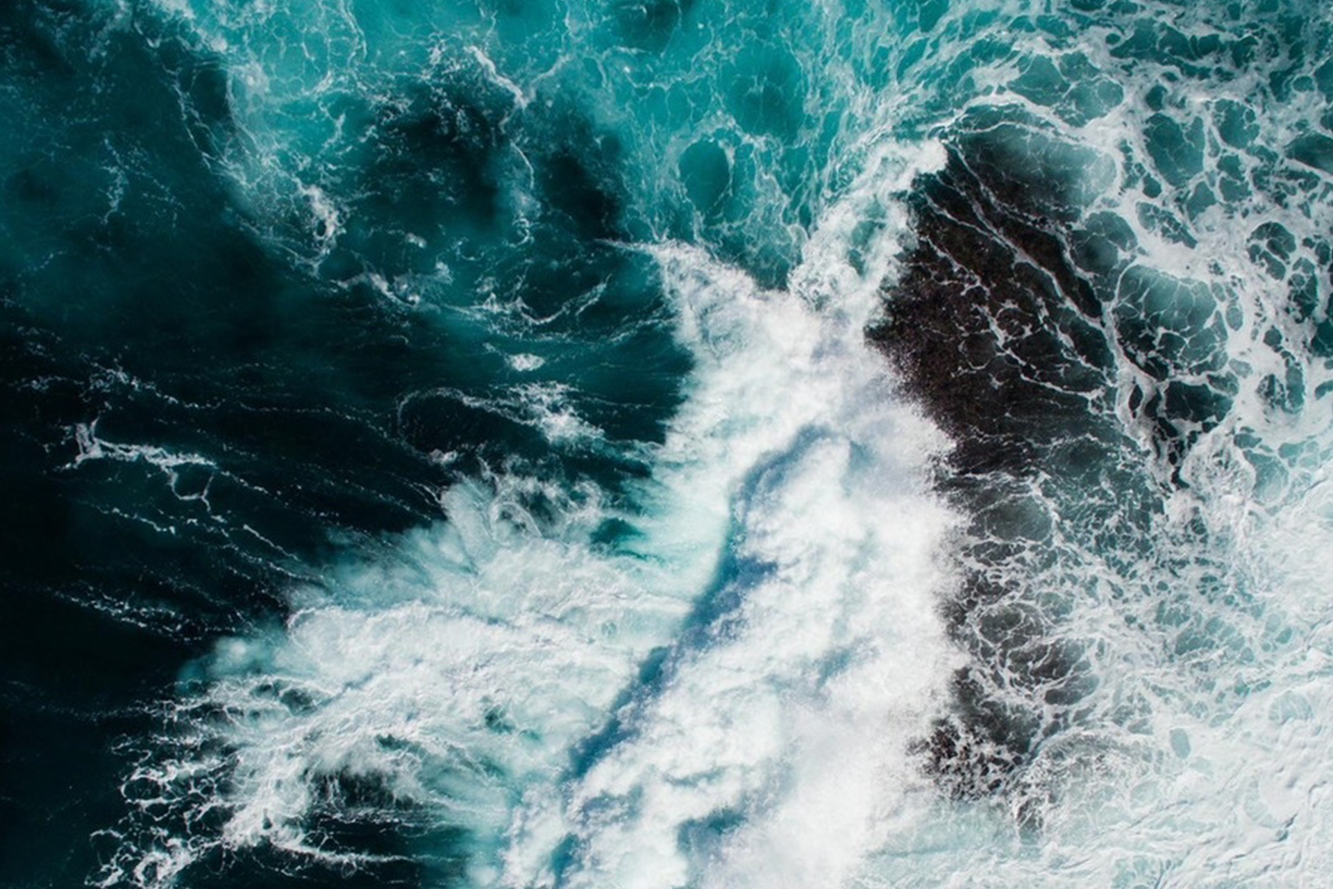 technology-ingredient